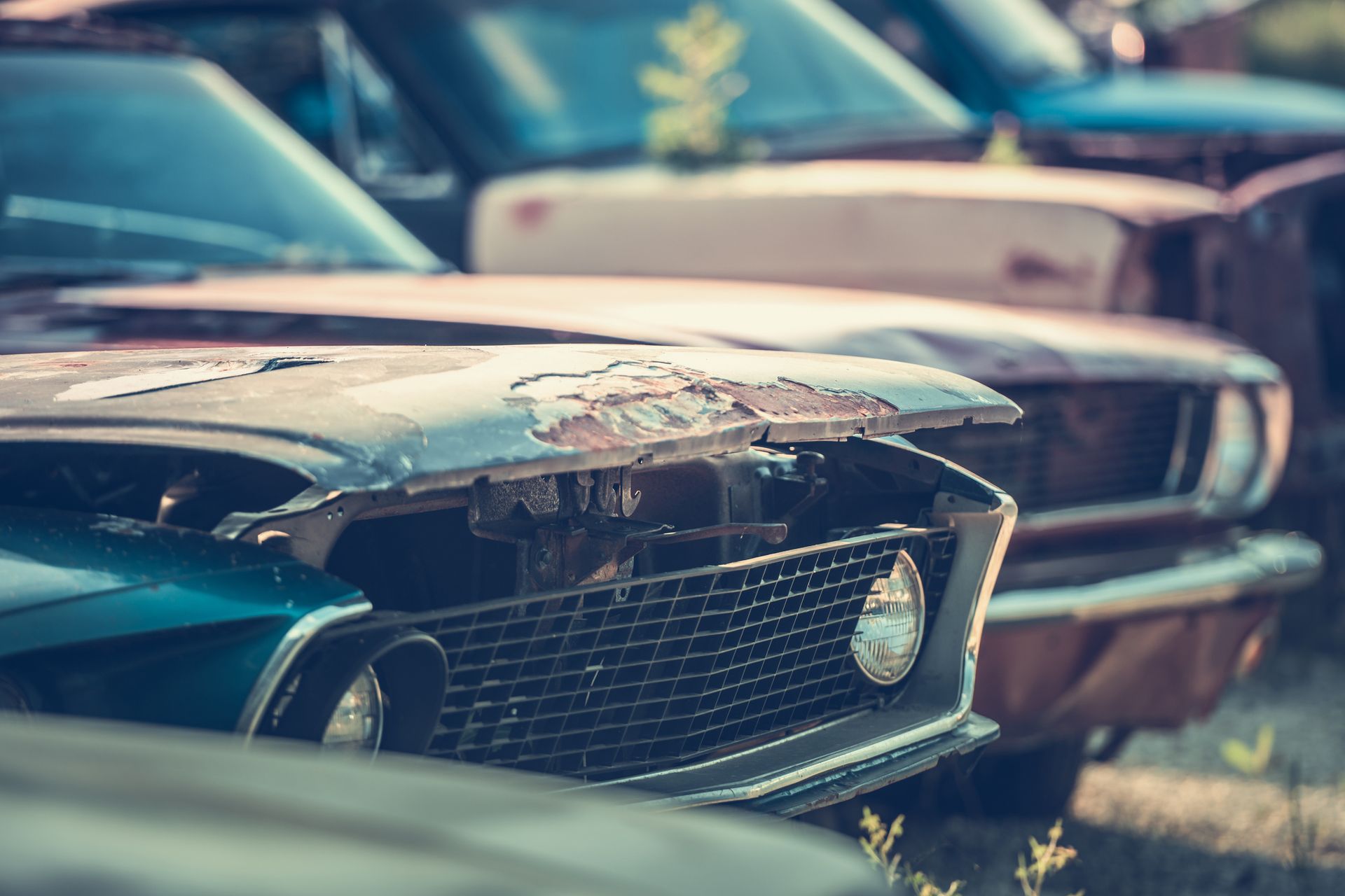 Junk car buyer services